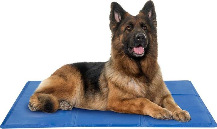 Actual product image Pet Comfort Pet cooling gel mat XL 60x80cm (Dog)