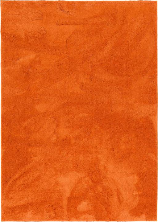 Produktbild Pergamon Super Soft Kinder Hochflor Teppich Silky Kids (120 x 170 cm)