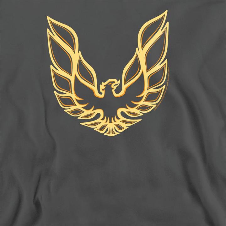 Immagine prodotto Pontiac Iconic Firebird Felpa Adulto Unisex (L)