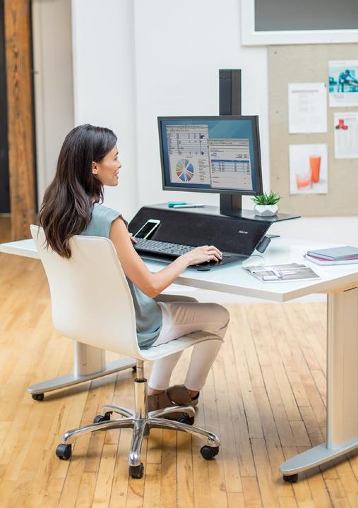 Image du produit Fellowes Lotus VE