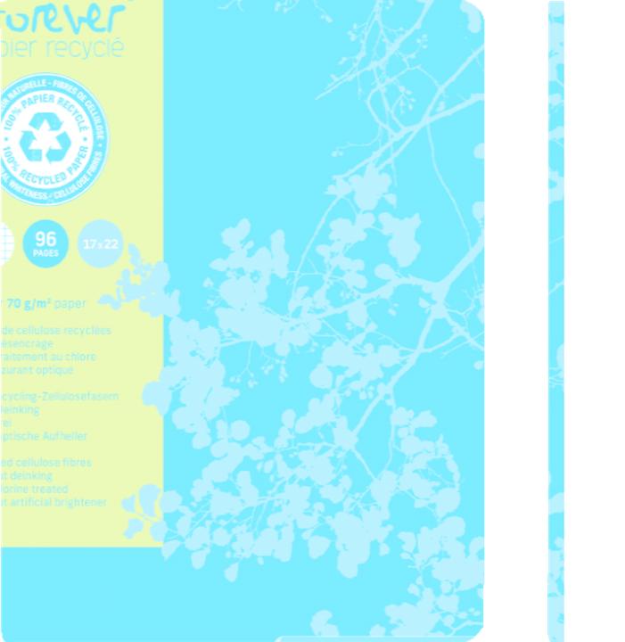 Image du produit Clairefontaine Forever papier recyclé