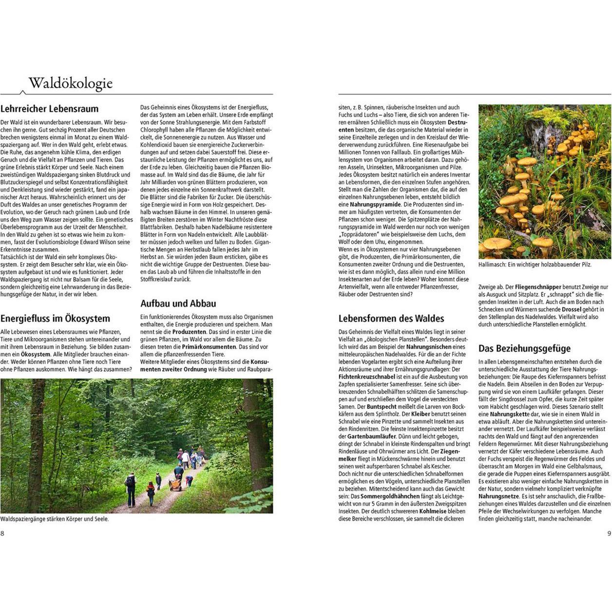 Thumbnail - Der Waldführer, Ratgeber von Wolfgang Dreyer, Eva-Maria Dreyer