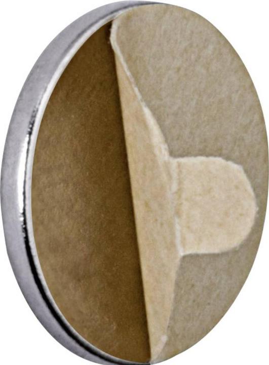 Image du produit Maul Aimant de retenue au néodyme (20 x)