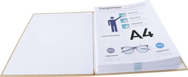 Actual product image Exacompta Folders with stretchable spine (A4, 250 x)