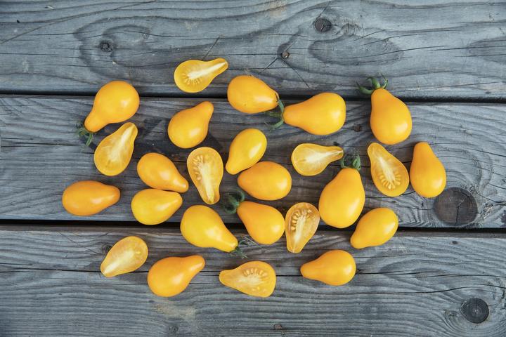 Immagine prodotto Zollinger Bio Pomodoro, Mini pera gialla (Germogli)