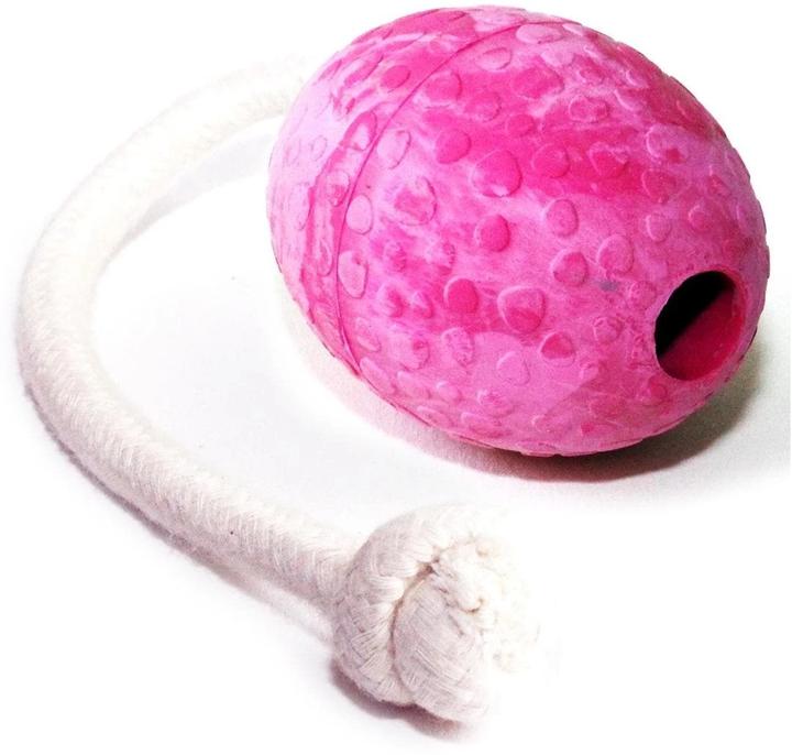 Raspberry