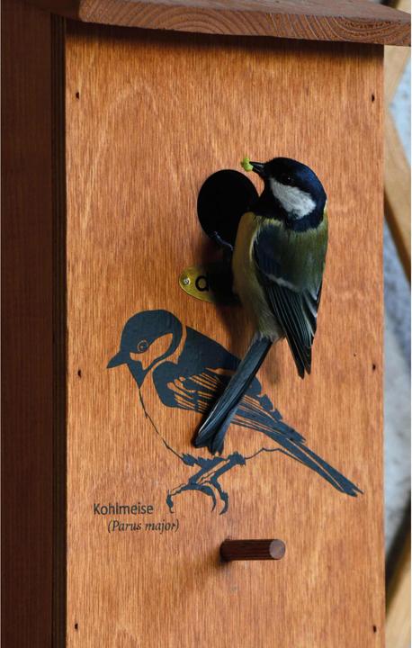 Produktbild Dobar Nistkasten mit Motiv Kohlmeise 17 x 18 x 35 cm