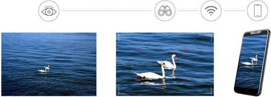 Image du produit Levenhuk Kelvin Snap ED 8x42 Digital Photobinoculars (8x, 42 mm)