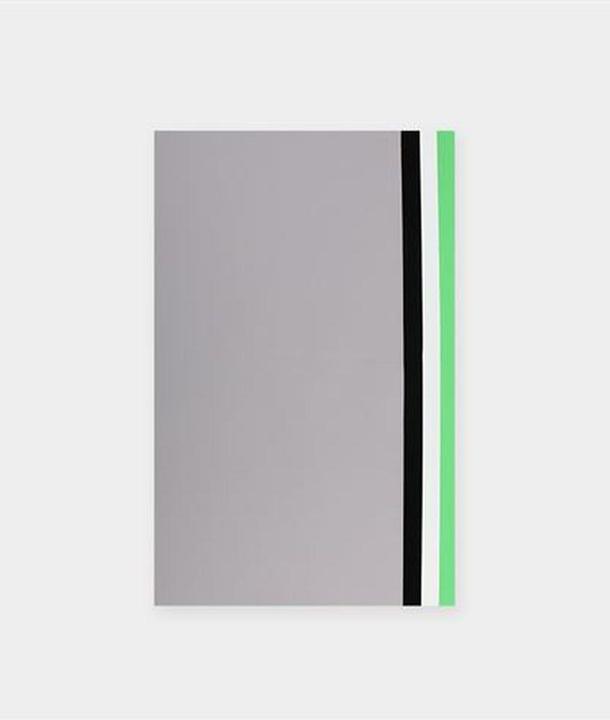 Image du produit Orangemonkie Foldio 2, série de 4 fonds (40 cm, 75 cm)