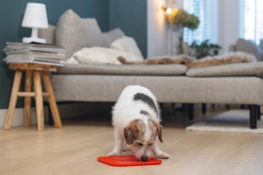 Image du produit Karlie Tapis à lécher Ava (Sac à friandises pour chien)