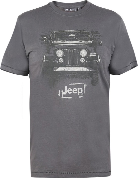 Actual product image DUKE Somerton D555 Tshirt (5XL)