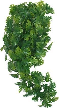 Komodo Plant Split Philodendron