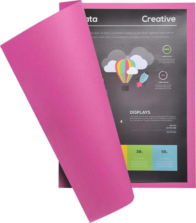 Actual product image Exacompta Collection folders - File covers (A4, 10 x)