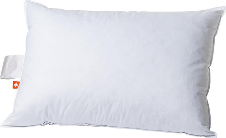 Immagine prodotto Duvetsuisse Forte Standard (50 x 70 cm)