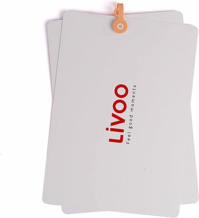 Produktbild Livoo Magnetclip (5 x)