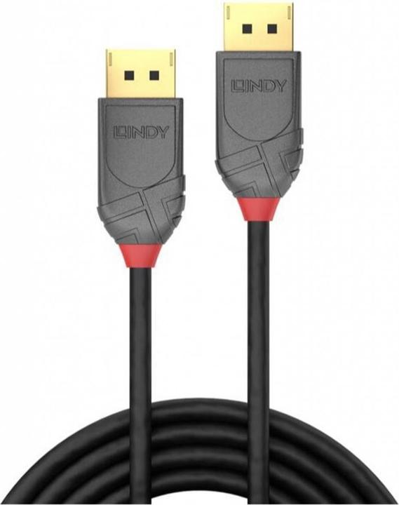 Actual product image Lindy DisplayPort — DisplayPort (0.50 m)
