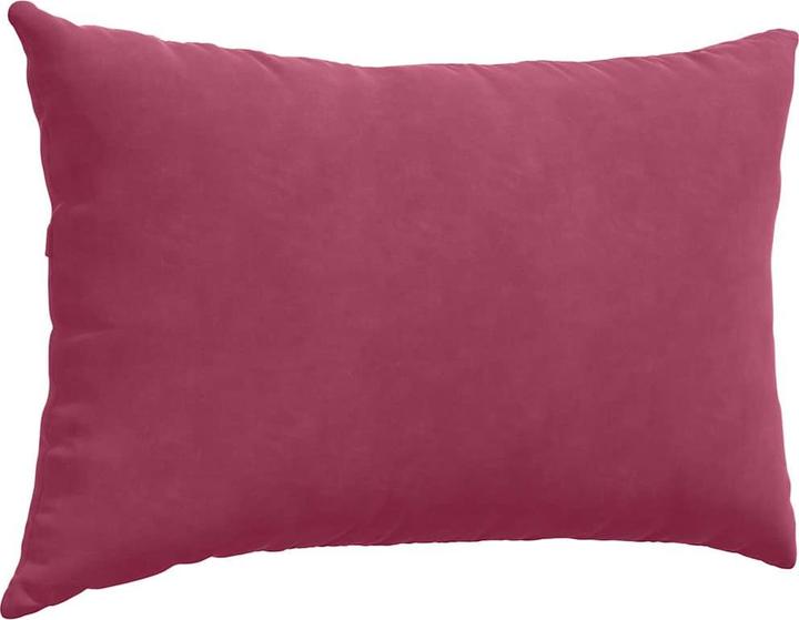 Image du produit vidaXL Sofakissen (60 x 40 cm)