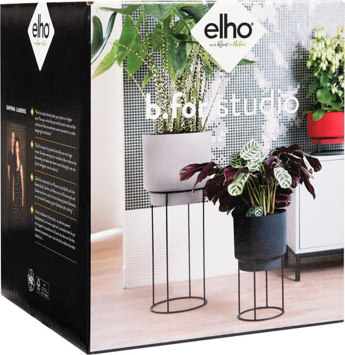 Immagine prodotto Elho B. per lo studio (22 cm)