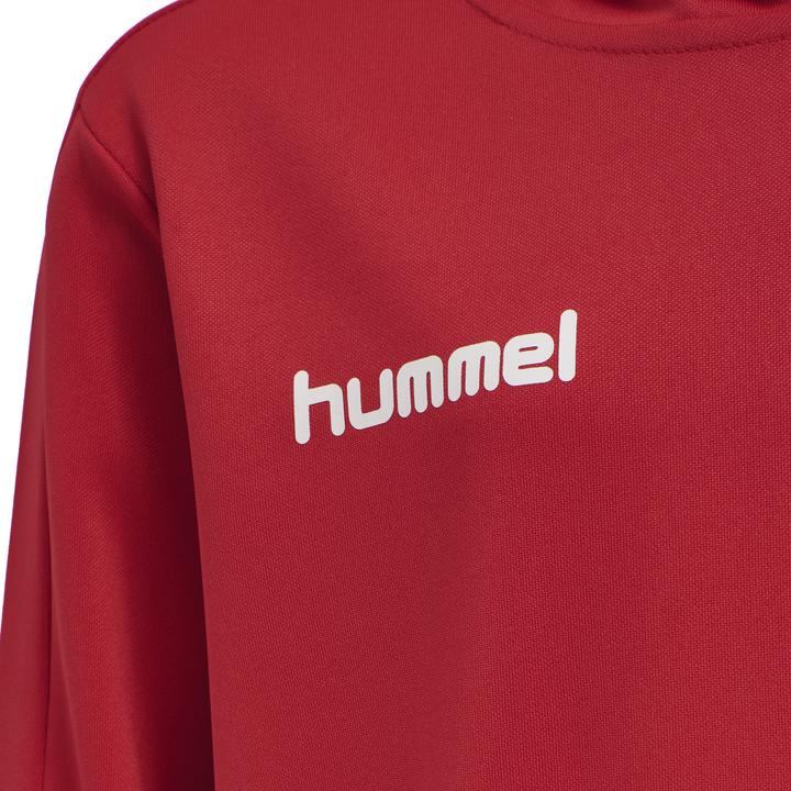 Actual product image hummel Promo Kids Poly Hoodie (176)