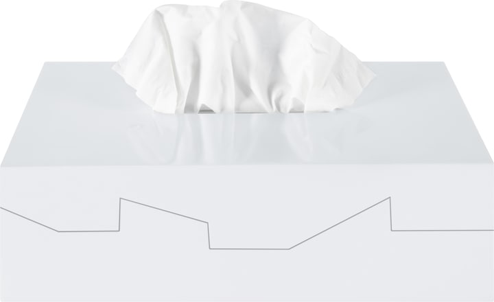 Actual product image spirella Silhouette