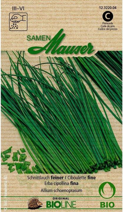 Image du produit Samen Mauser Bourgeons Bio Ciboulette fine (Graines d'herbes aromatiques)