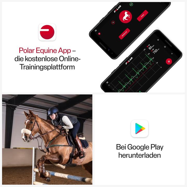 Immagine prodotto Polar Equine Heart Rate Monitor for Trotters