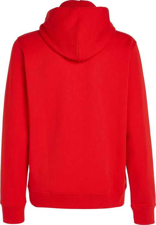 Image du produit Tommy Jeans Tjm Reg Badge Hoodie Ext (L)
