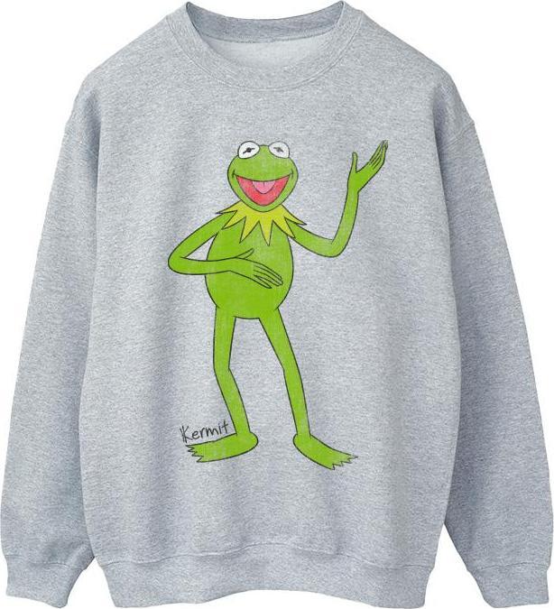 Actual product image Disney Boys The Muppets Kermit Classic Sweatshirt (140, 146)
