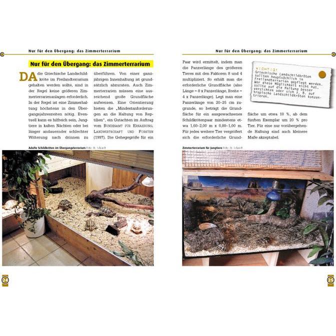 Thumbnail - Die Griechische Landschildkröte, Ratgeber von Michael Schardt