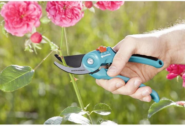 Actual product image Gardena Classic Grape Shears