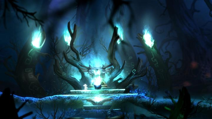 Actual product image Skybound Ori and the Blind Forest Definitve Edition (Switch, DE)