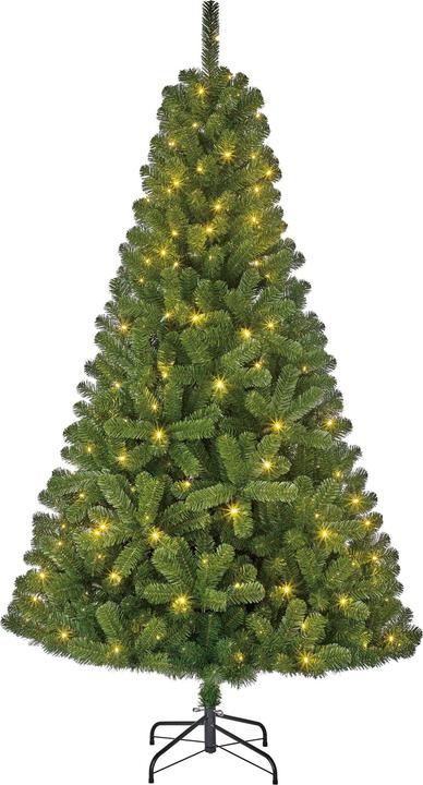 Black Box Trees 185 cm Outdoor Christmas Tree with Lights (185 cm)