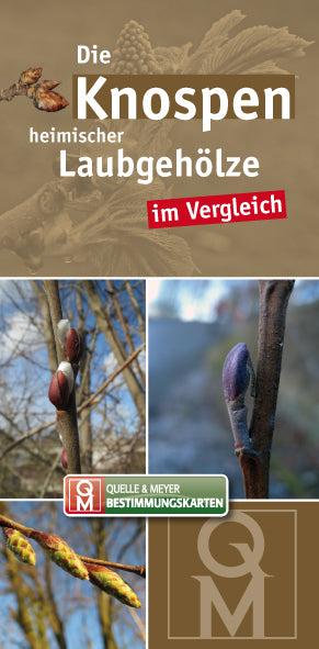 Produktbild Die Knospen heimischer und kultivierter Laubgehölze im Vergleich (Deutsch, 2014)