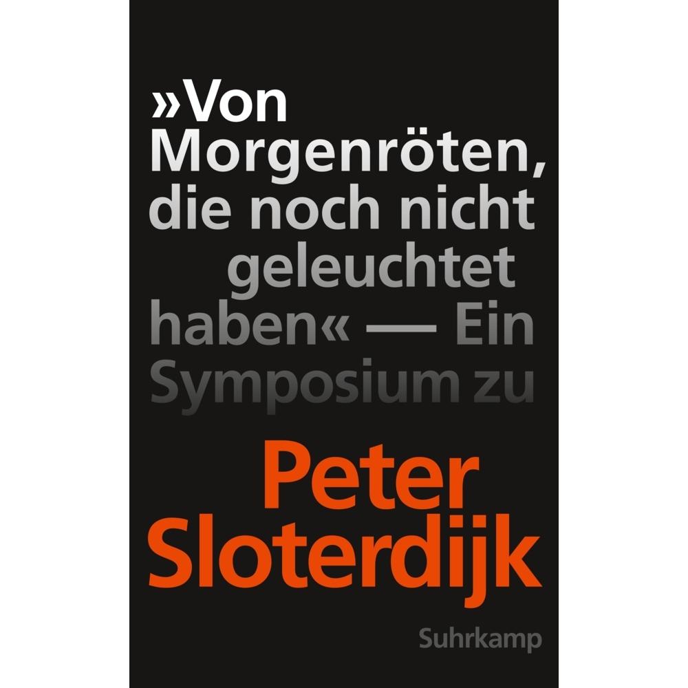 »Von Morgenröten, die noch nicht geleuchtet haben«, Fachbücher von Peter Weibel