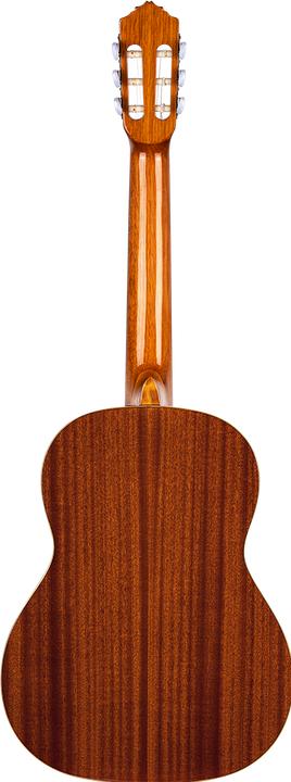 Actual product image Ortega Family Series (Acoustic guitar, Walnut, Mahogany, Spruce)