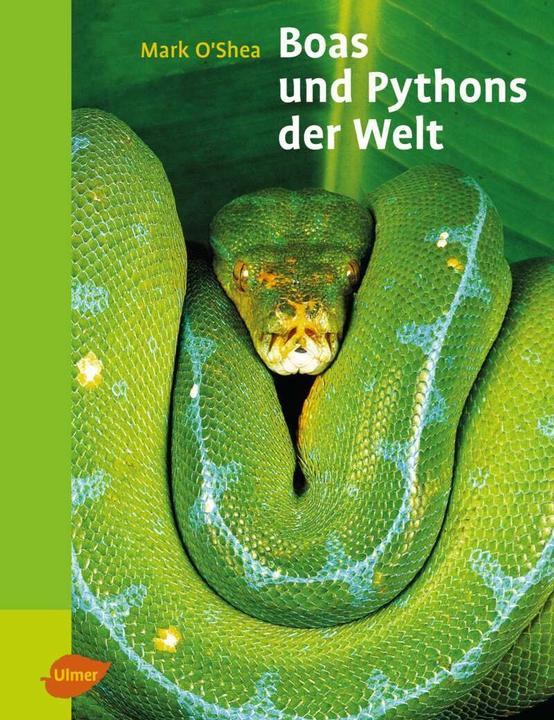 Produktbild Boas und Pythons der Welt (Deutsch, Mark O'Shea, 2007)