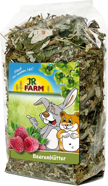 Produktbild JR Farm Beeren-Blätter (0.11 kg)