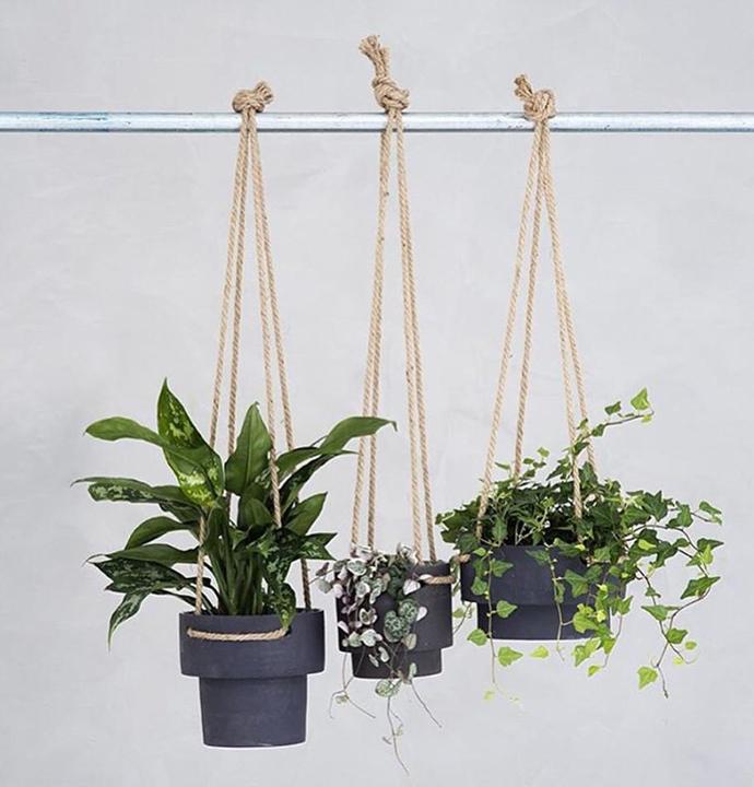 Image du produit Ferm Living cintre pour plantes (21.50 cm)