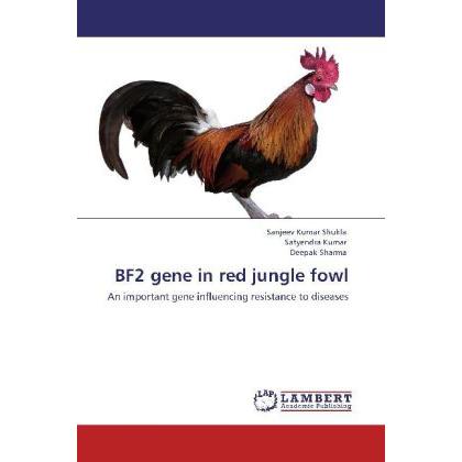 BF2 gene in red jungle fowl, Fachbücher von Deepak Sharma, Sanjeev Kumar Shukla, Satyendra Kumar