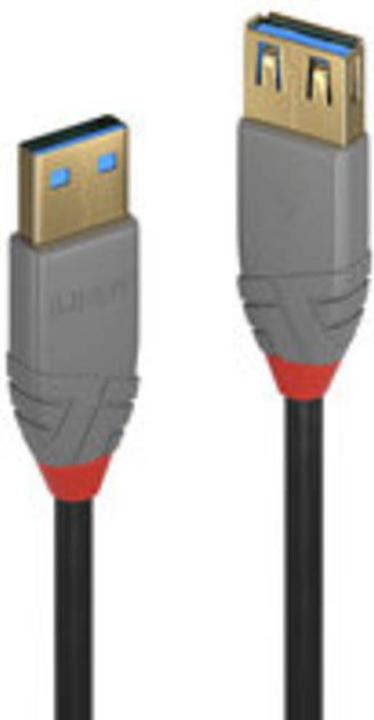 Image du produit Lindy USB/A-USB/A M-F (3 m, USB 3.0)