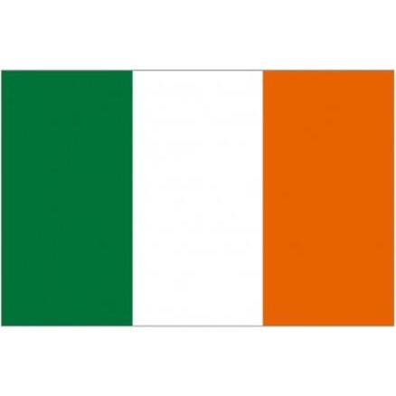 Supporter Shop, Fahne, drapeau irlande