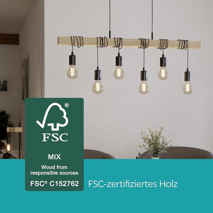 Image du produit EGLO Townshend (E27)