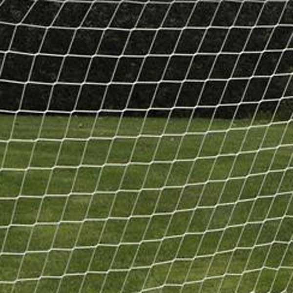 Actual product image Euro Play My Hood - Net for Homegoal Senior