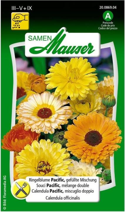 Samen Mauser Ringelblume Pacific, gefüllte Mischung (Pflanzensamen)