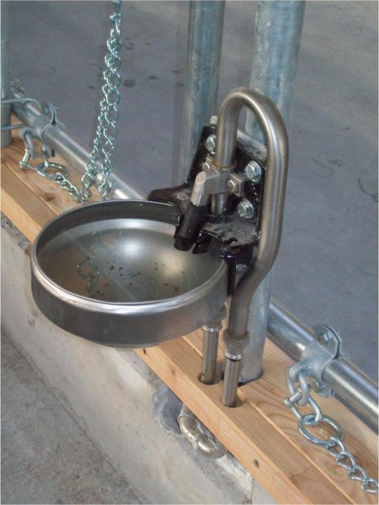 Image du produit Suevia Abreuvoirs Mod. 1200 avec vanne en acier inoxydable