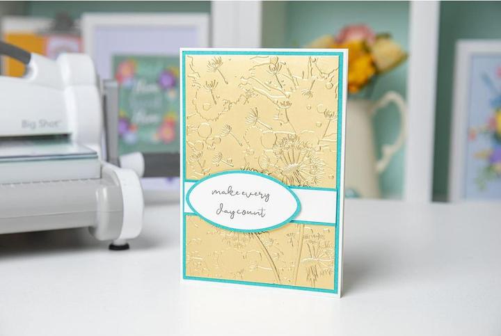 Actual product image Sizzix 3-D Textured Impressions Embossing Folder - Dandelion Wish