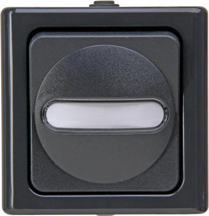 Actual product image Kopp Cross switch anth glz BLUEELECTRIC IP44 w.Glimm AP 1f 10AX
