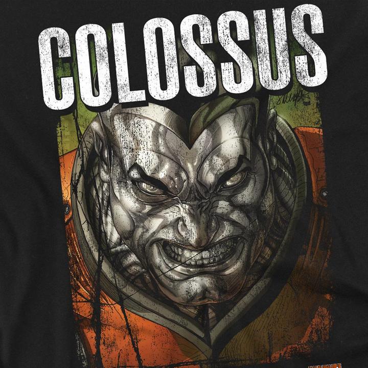 Actual product image Unisex Adult X-Men Colossus Infographic T-Shirt (XXL)