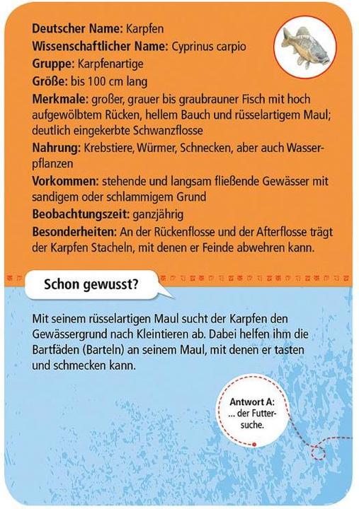 Produktbild Expedition Natur 50 heimische Tiere & Pflanzen an Bach & Teich (Deutsch, 1 - 20 Spieler)