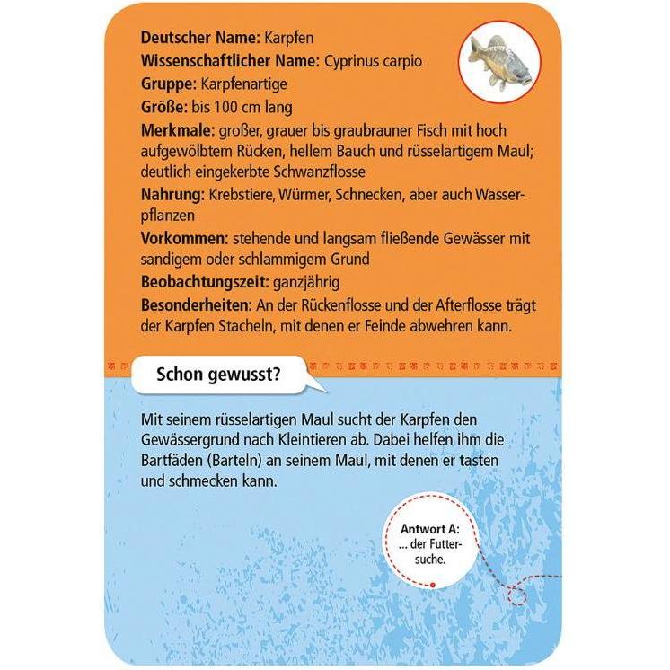 Thumbnail - Moses Expedition Natur 50 heimische Tiere & Pflanzen an Bach & Teich (Deutsch)